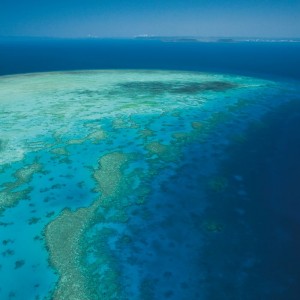 Great Barrier Reef Australia