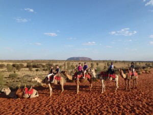 Camel Ride in the Outback