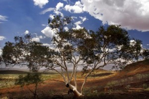 Photo By: Karijini Eco Retreat