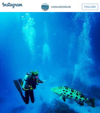 Potato-Cod-Great-Barrier-Reef-Dive-Australia