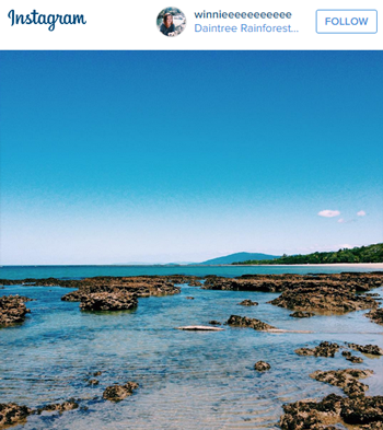 Where the Forest Meets the Reef in Australia