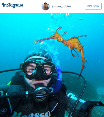 Travel to Australia Dive with Leafy Dragon