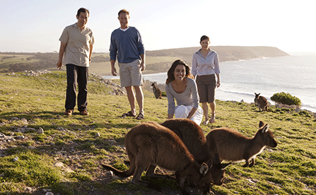 Wildlife and Adventure Tour in Australia