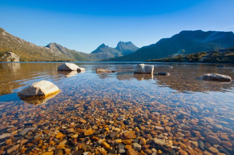 Lake Dove and Cradle Mountain