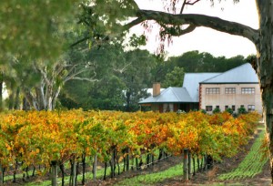 Barossa Valley Wine Region