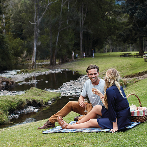 Canungra Valley Vineyards