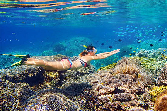 Girl snorkeling the Great Barrier Reef ReefQuest