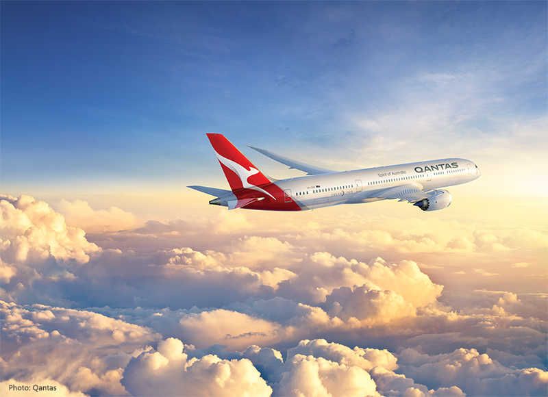 Qantas Dreamliner Monkey