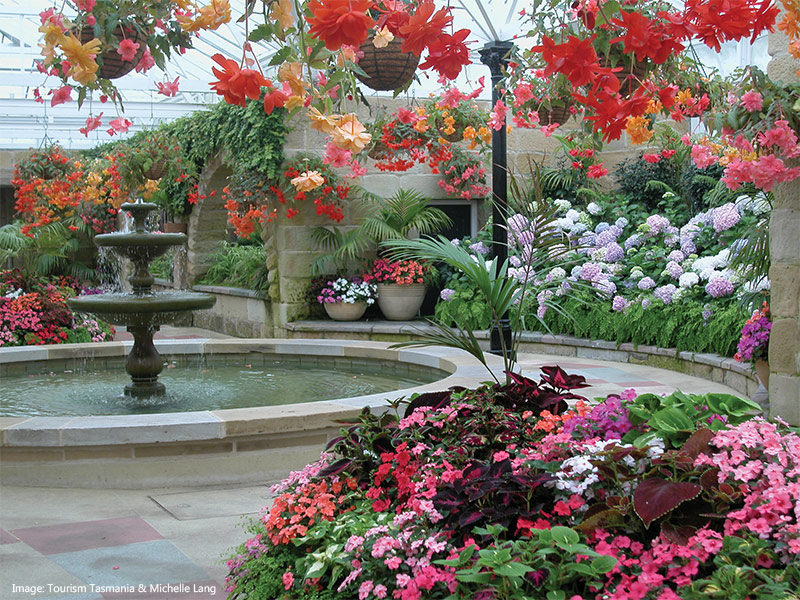 Conservatory in Royal Tasmania Botanical Gardens credit Tourism Tasmania Michelle Lang