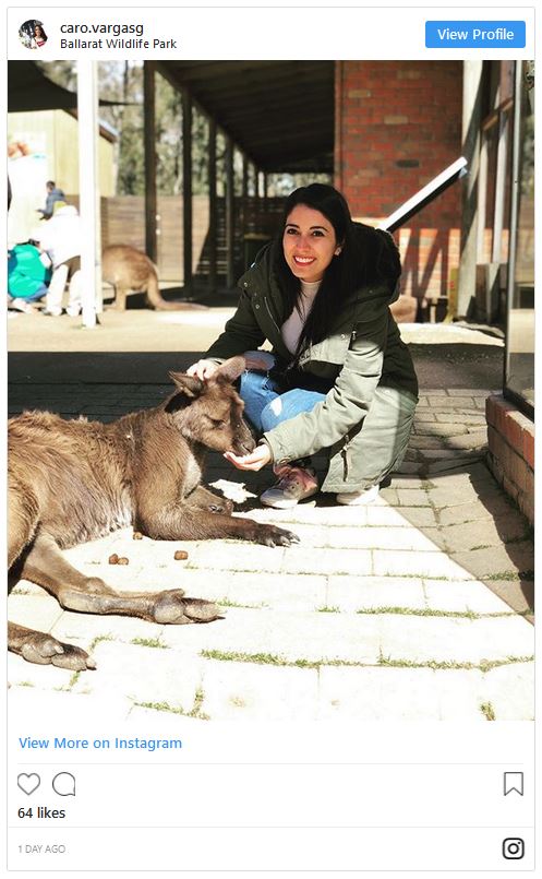 Feeding kangaroos in Ballarat Wildlife Park