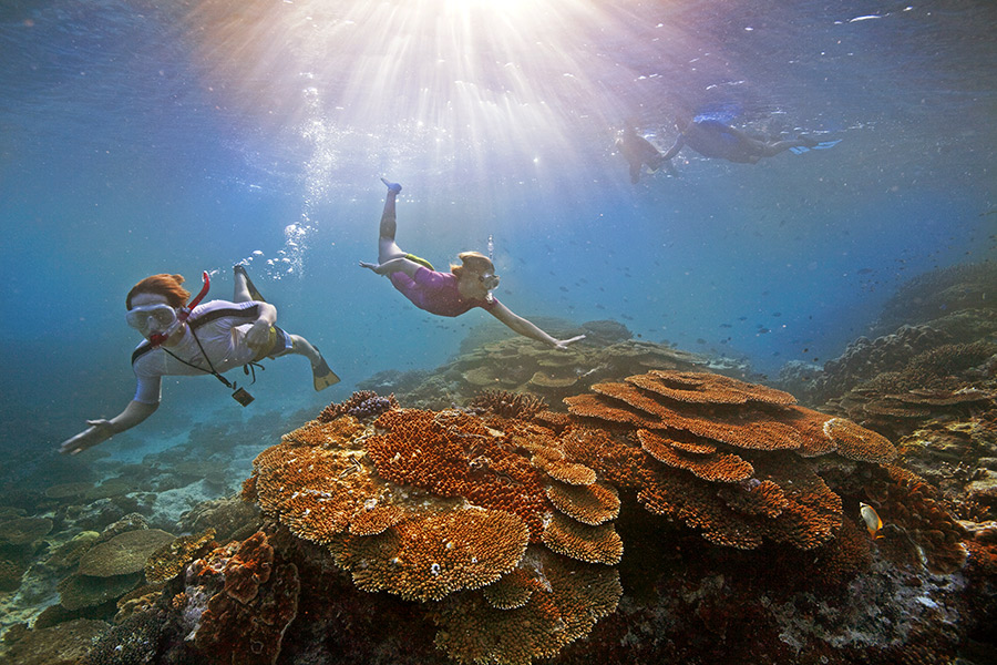 Snorkeling the Great Barrier Reef on Australia Travel