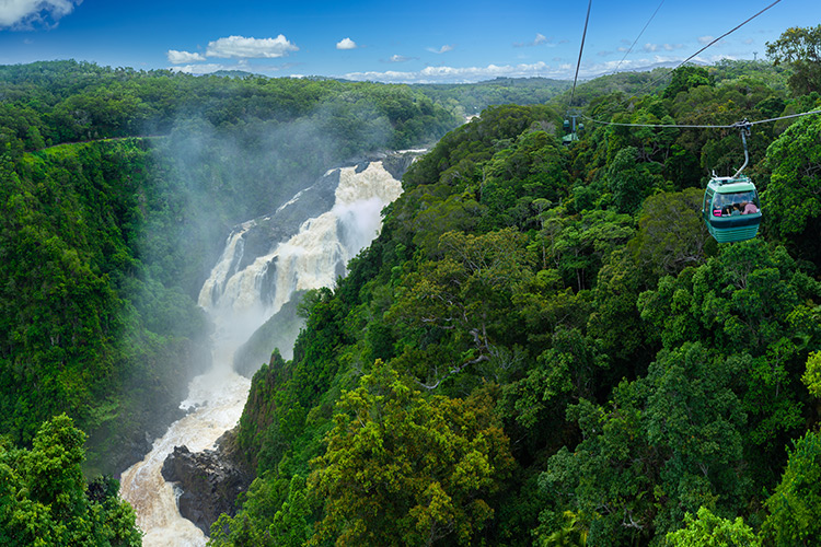 Kuranda Skyrail Rainforest Cableway things to do in Cairns credit Skyrail Rainforest Cableway