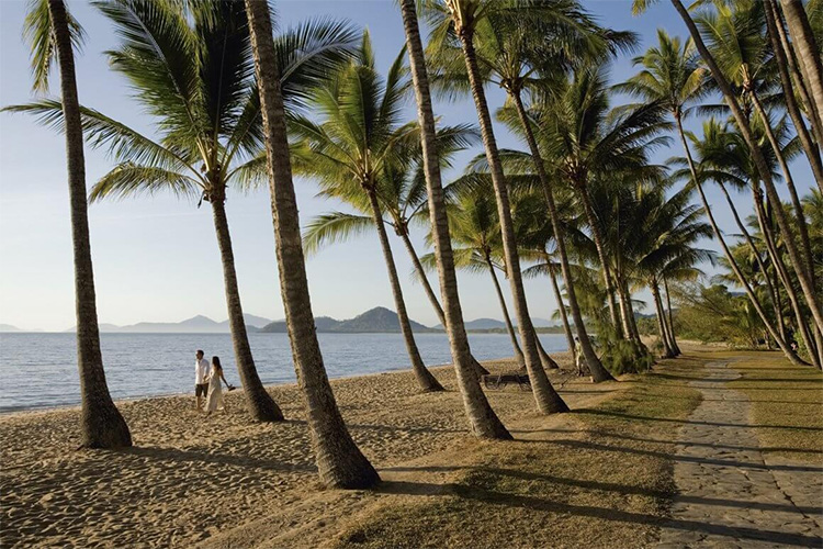 Palm Cove credit Tropical North Queensland