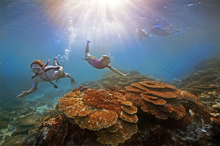 Snorkeling the Great Barrier Reef is one of the best things to do in Cairns credit Tourism Australia