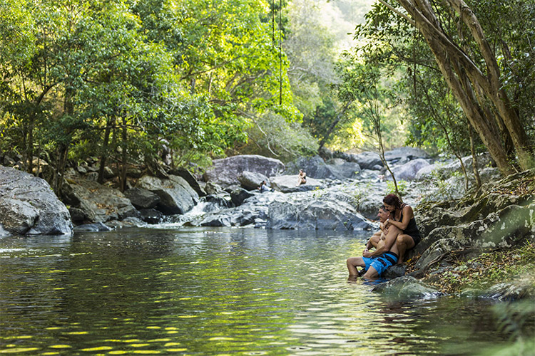 Swimming at Crystal Cascades credit Tourism and Events Queensland Andrew Watson