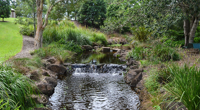 Gold Coast Botanic Gardens credit Friends of the Gold Coast Botanic Gardens