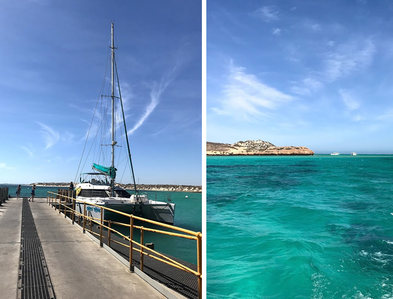 Sailing Ningaloo Reef