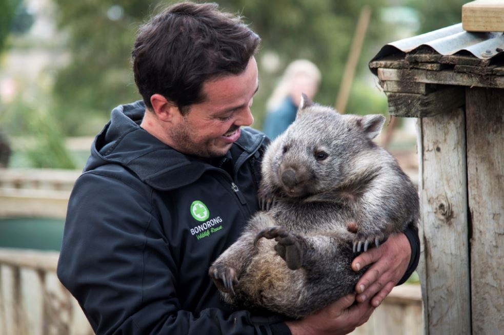 Bonorong Wildlife Sanctuary Greg Irons credit Tourism Tasmania and Rob Burnett