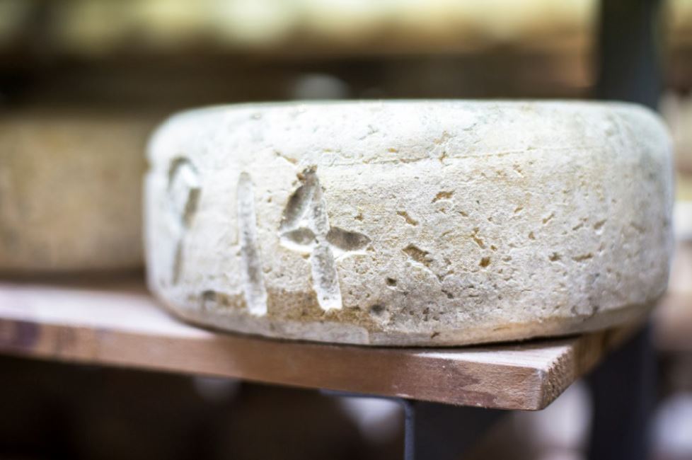 Bruny Island Cheese Co credit Tourism Tasmania and Andrew Wilson