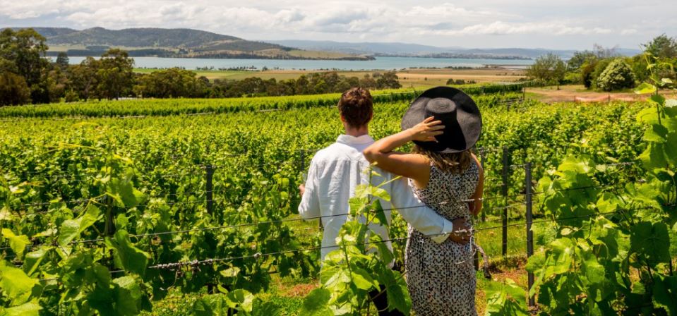 Coal Valley Vineyard credit Alastair Bett