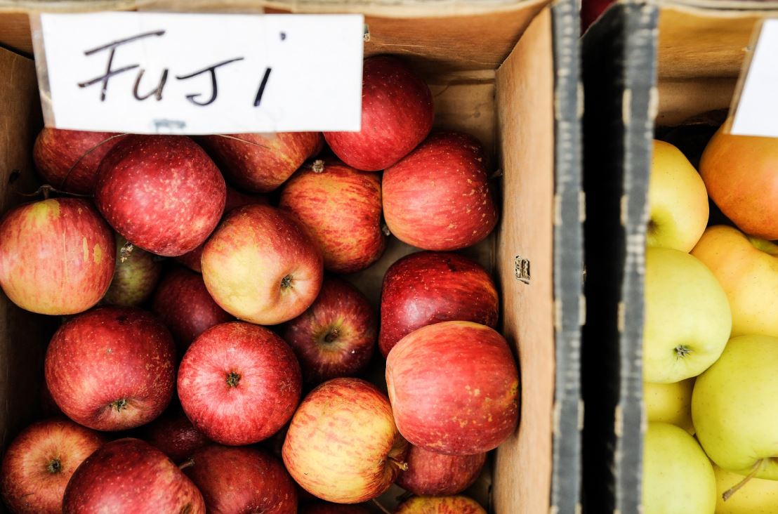 Harvest Launceston Farmers' Market credit Chris Crerar