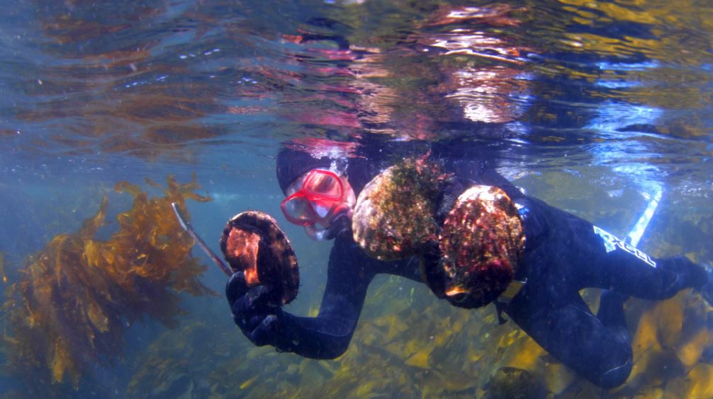 Tasmanian Seafood Seduction Pennicott Wilderness Journeys credit Peter Aitchison