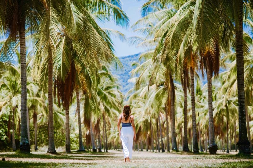 Thala Beach Port Douglas