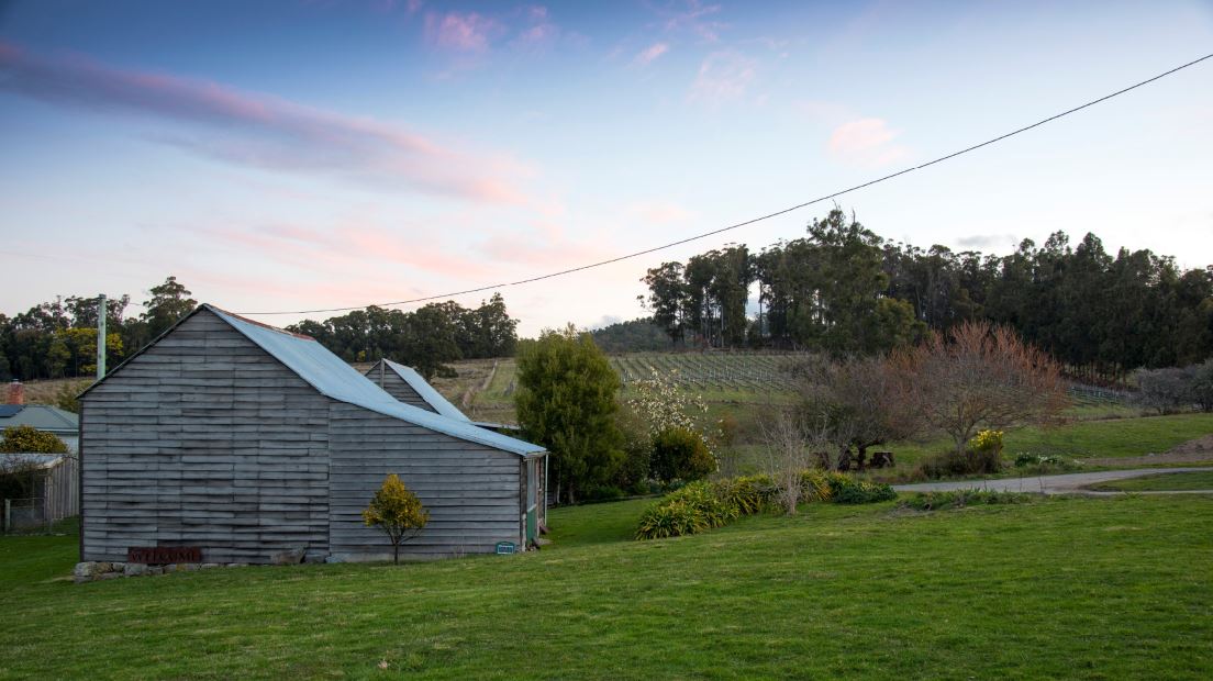 Wines for Joanie vineyard credit Rob Burnett