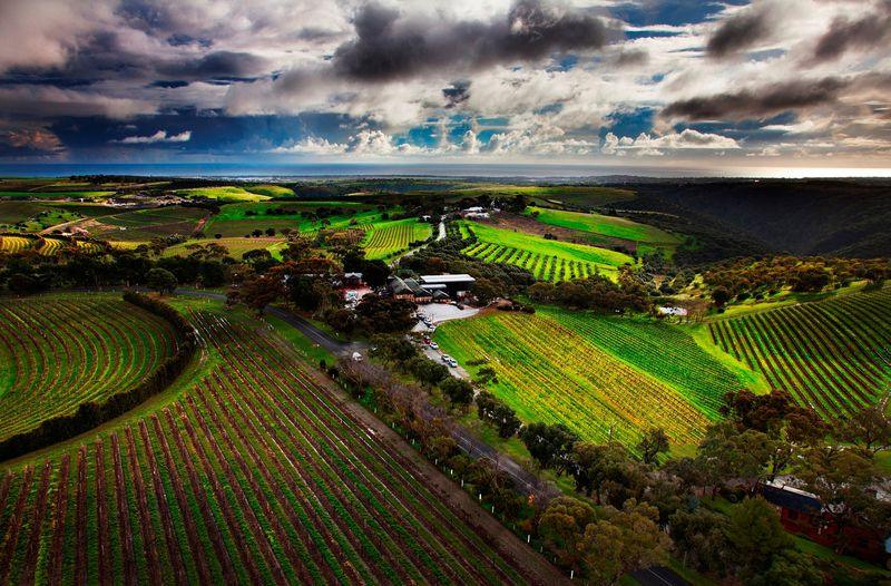 Aerial view of Chapel Hill Estate, McLaren Vale credit Chapel Hill